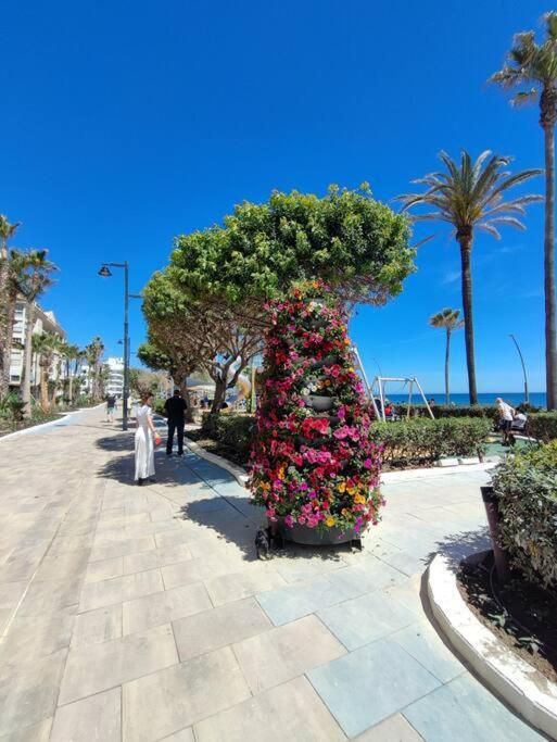 Apartment 1st Line Of The Beach, La Rada Beach! Ac,wifi,terrace, Private Parking *