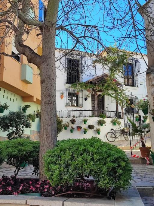 1st Line Of The Beach, La Rada Beach! Ac,wifi,terrace, Private Parking Apartment *