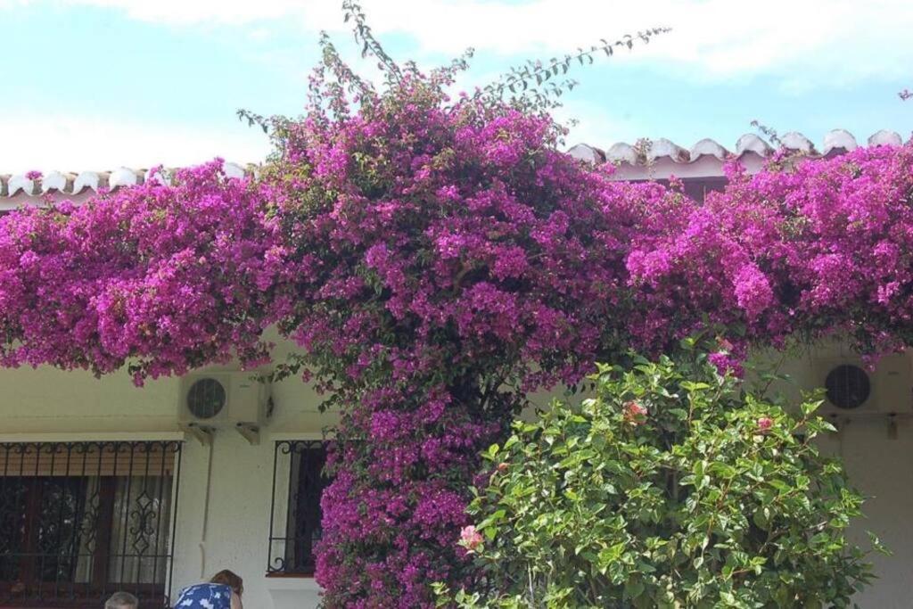 Exclusive Secluded With Private Pool Hot Tub & Bbq -7 Minutes From Marbella