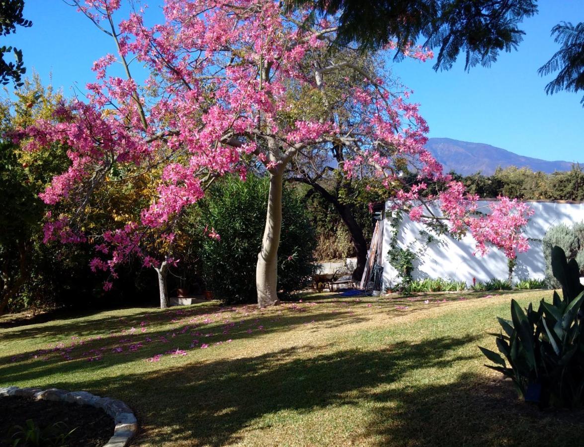 Casa de férias La Casita