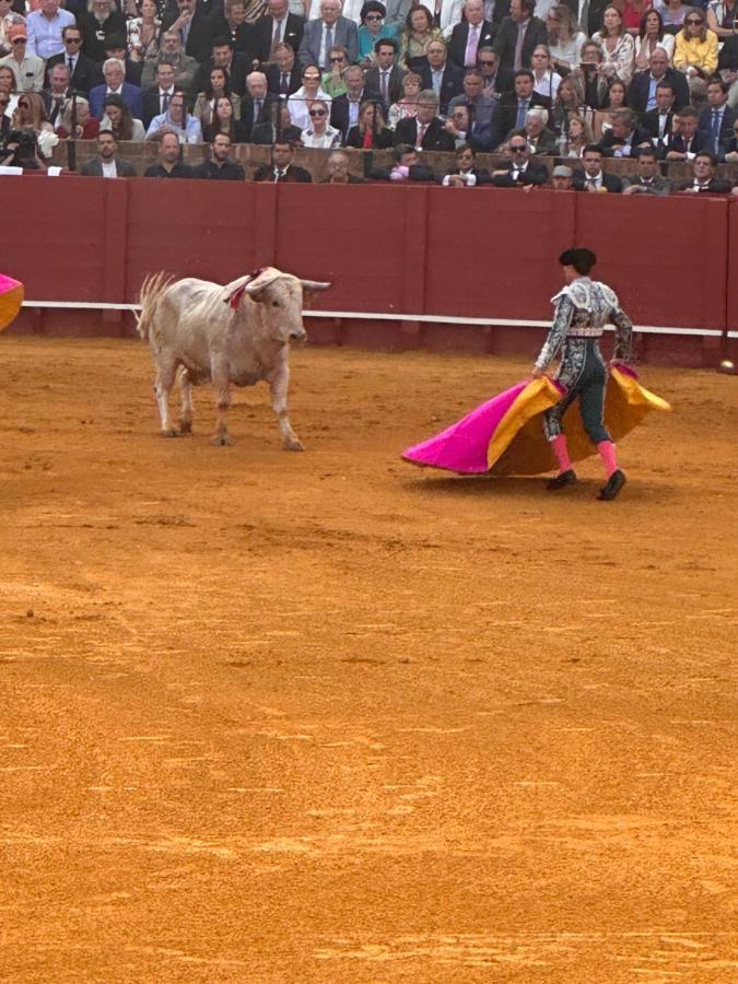 Center Estepona