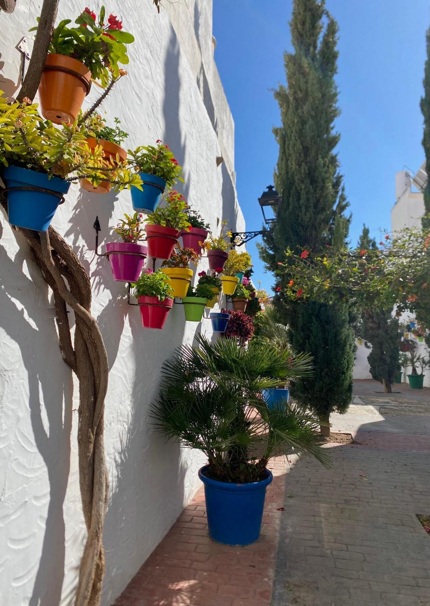 Apartamento Portada Estepona