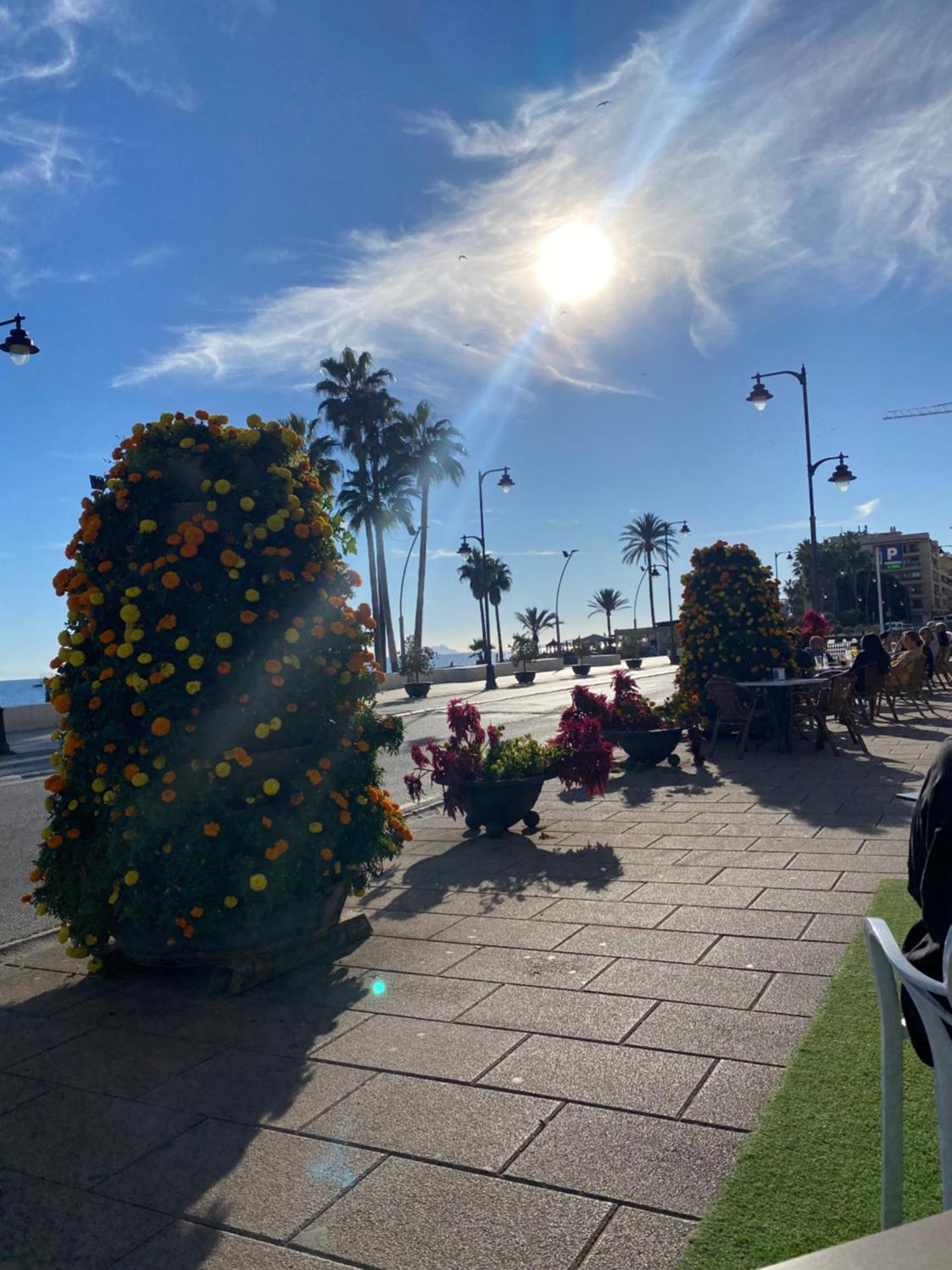 Portada * Estepona