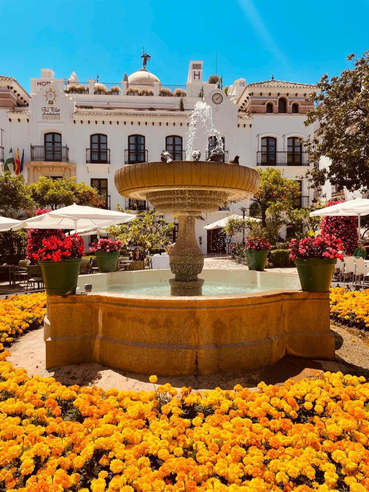 Apartment Merion Estepona