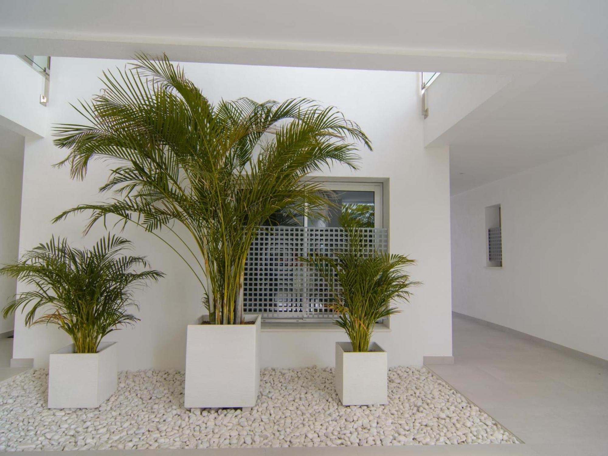 Brand New In Belaire, Pools, Garden *