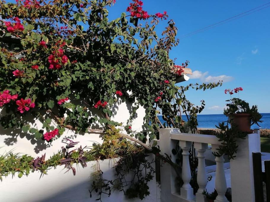 House Holiday home *