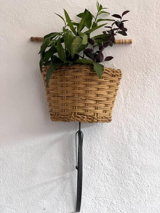 Alquiler Vacacional. Bajo Con Parrilla Y Piscina, Cerca De La Playa Y Puerto Banus Apartment