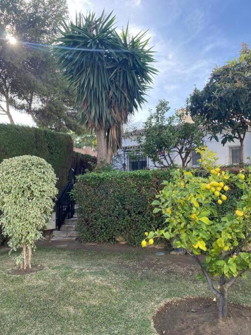 Alquiler Vacacional. Bajo Con Parrilla Y Piscina, Cerca De La Playa Y Puerto Banus *