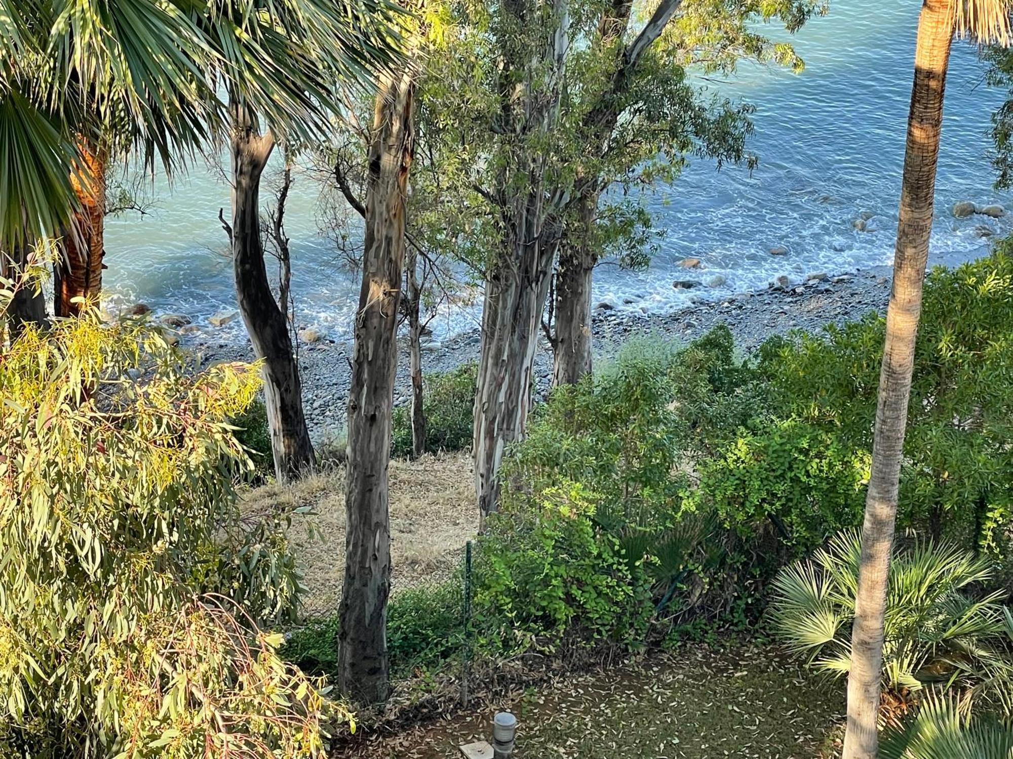 Renovated Aranja: With Big Balcony And Sea View Appartement *
