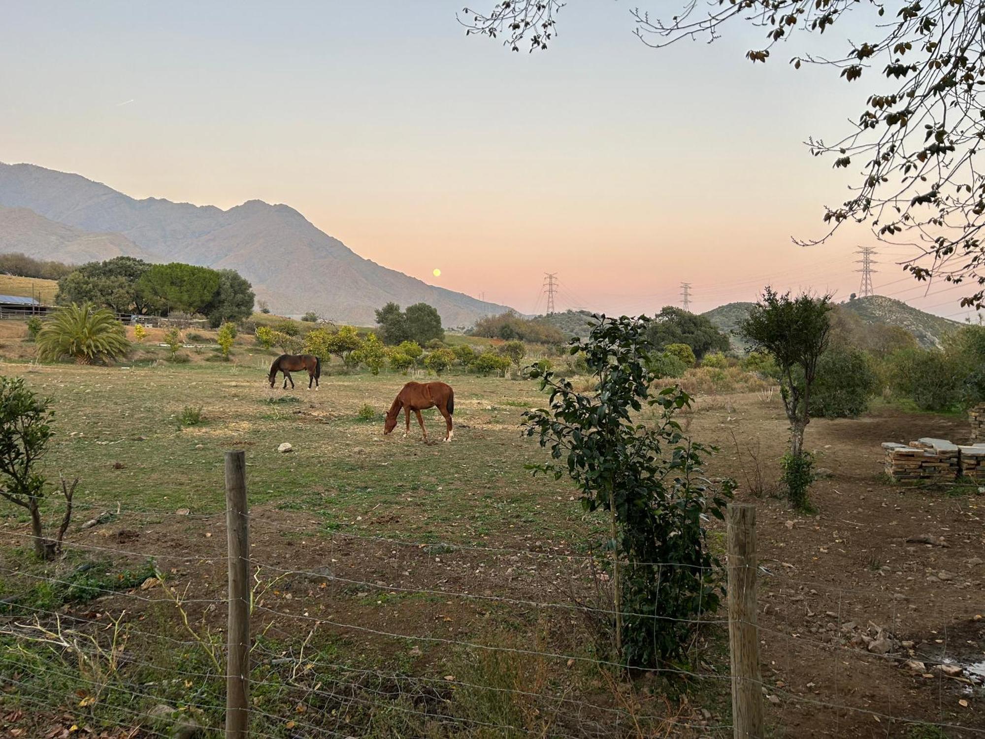 La Aldea De Santa Teresa ,casa Granada Estepona