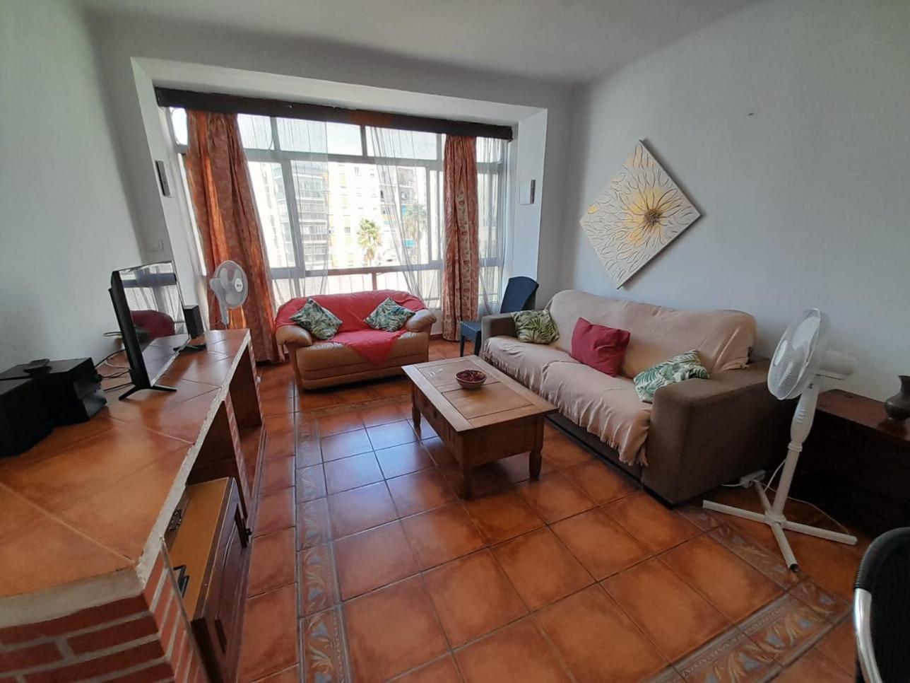 Orchid Of Apartment Estepona