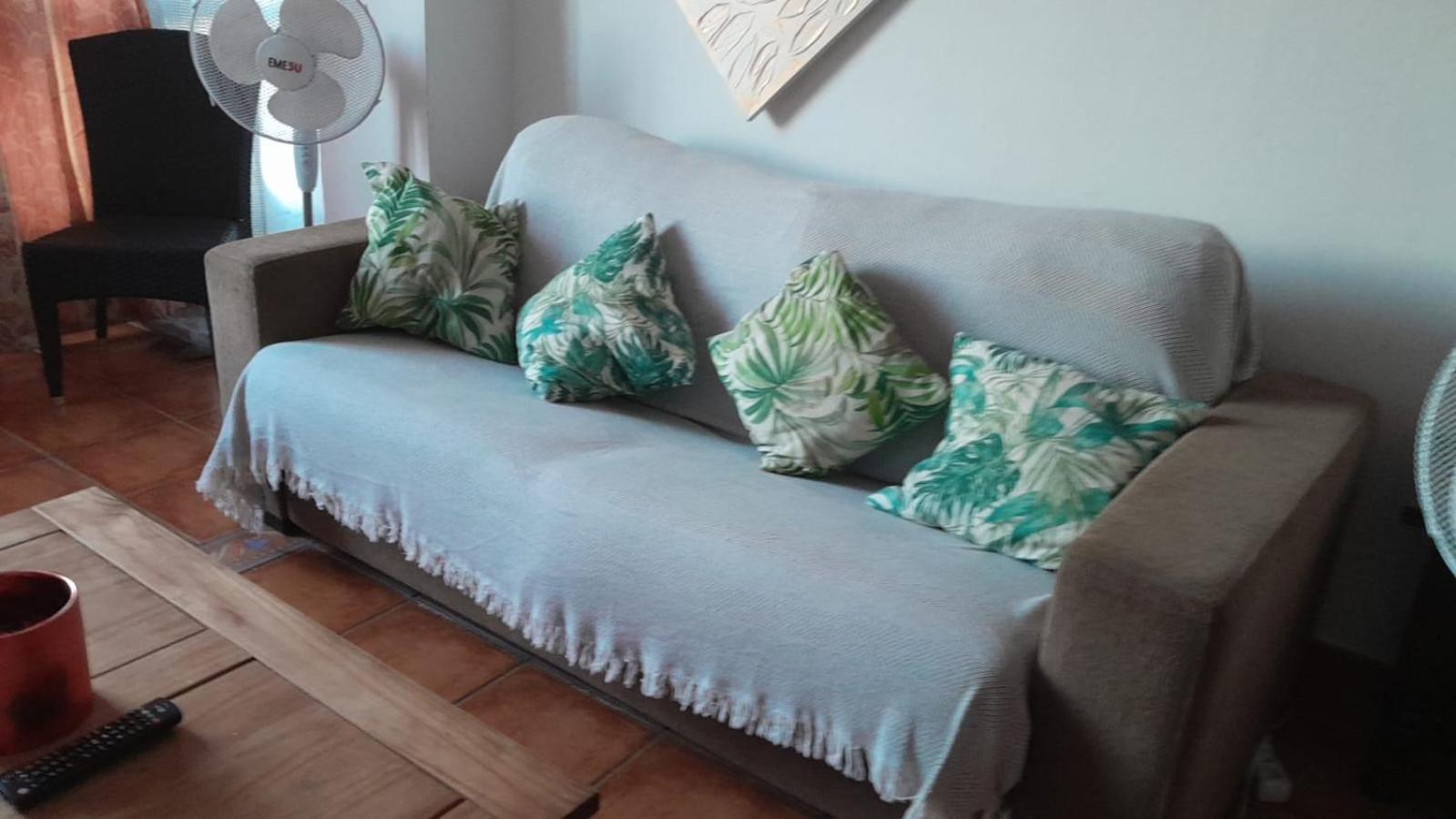 Orchid Of Apartment