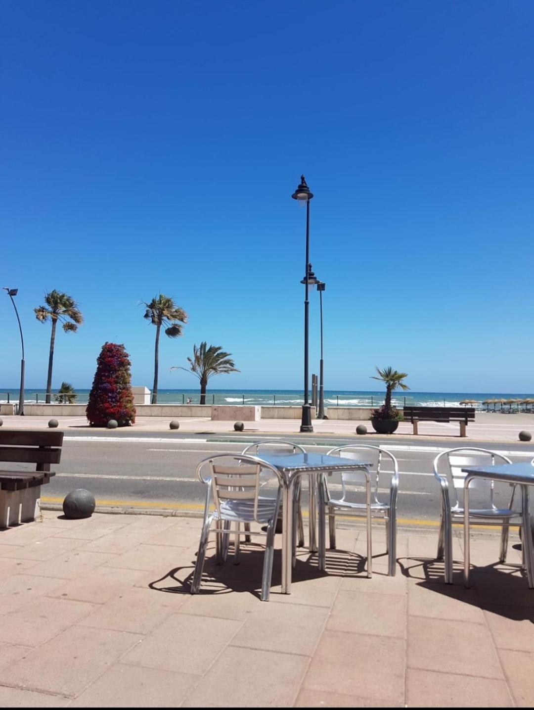 Orchid Of * Estepona
