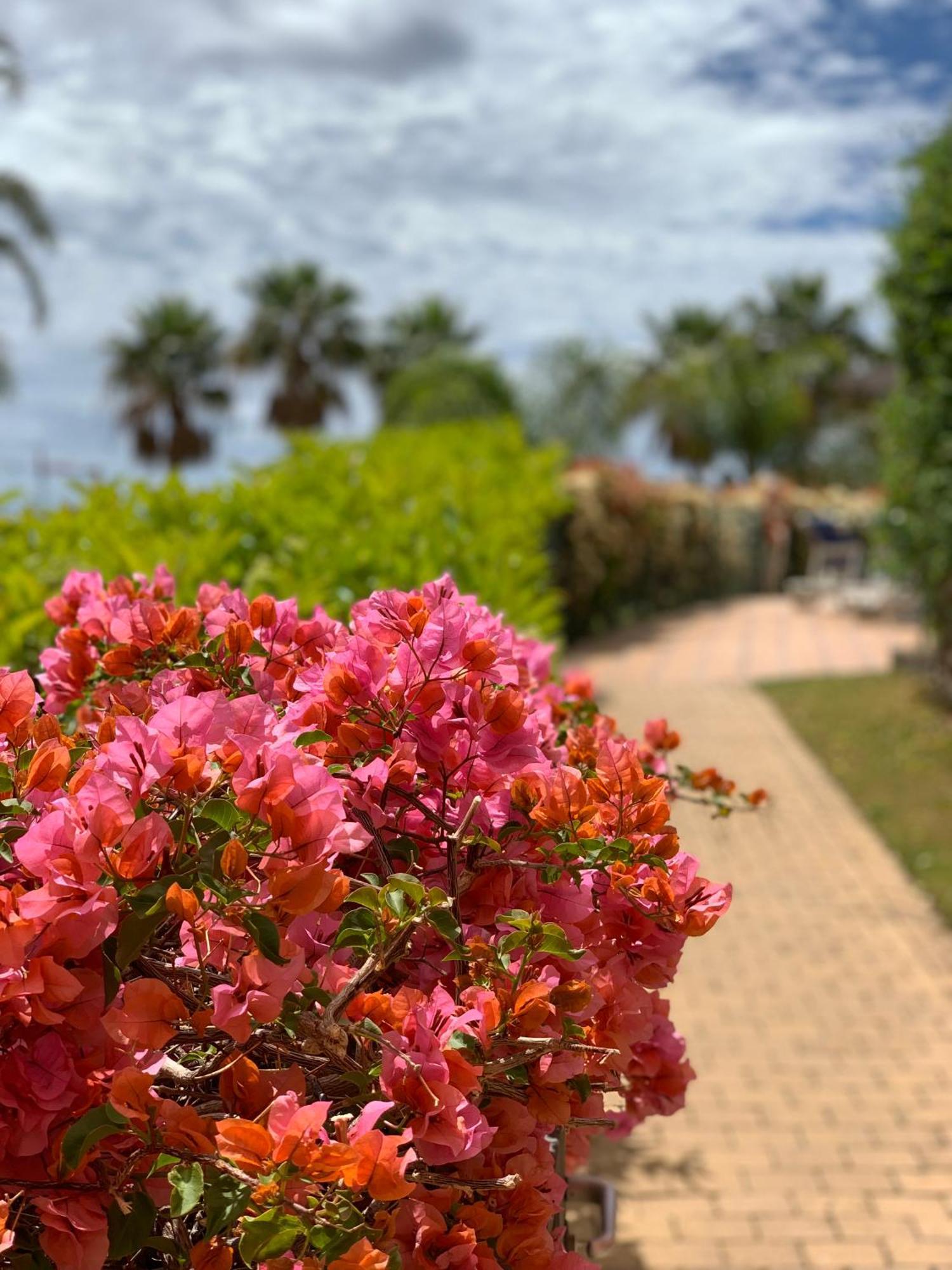 Apartment Your Oasis Of Luxury And Leisure At Gazules Del Sol In Marbella Area - Benahavis Estepona