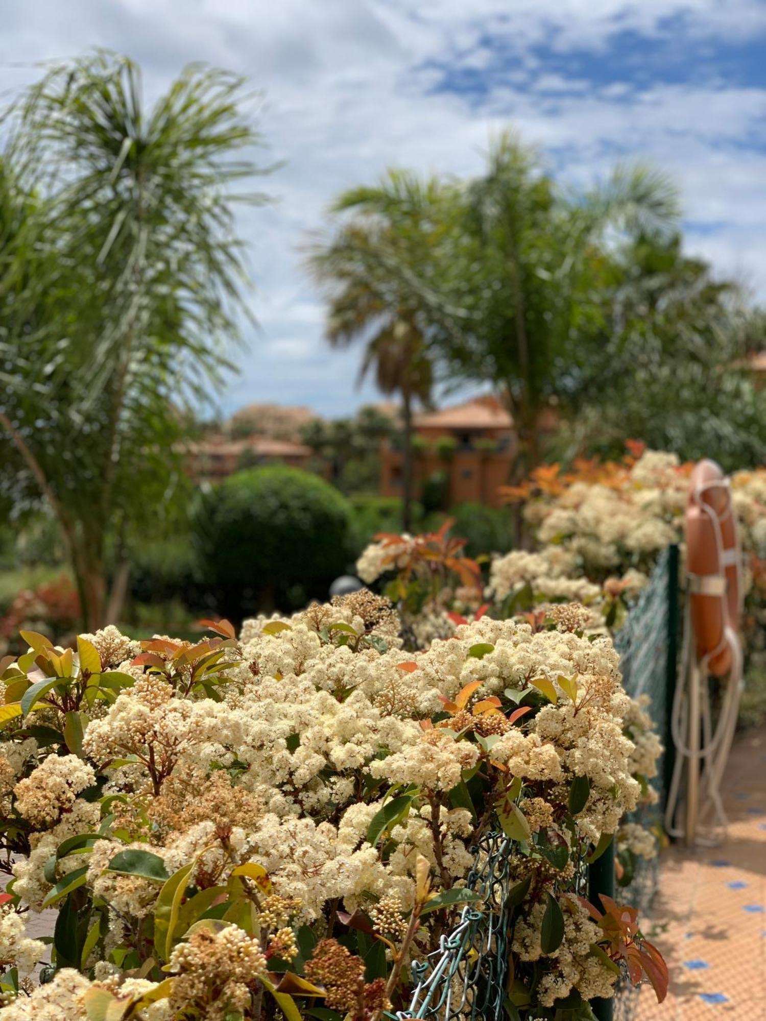 Apartment Your Oasis Of Luxury And Leisure At Gazules Del Sol In Marbella Area - Benahavis Estepona