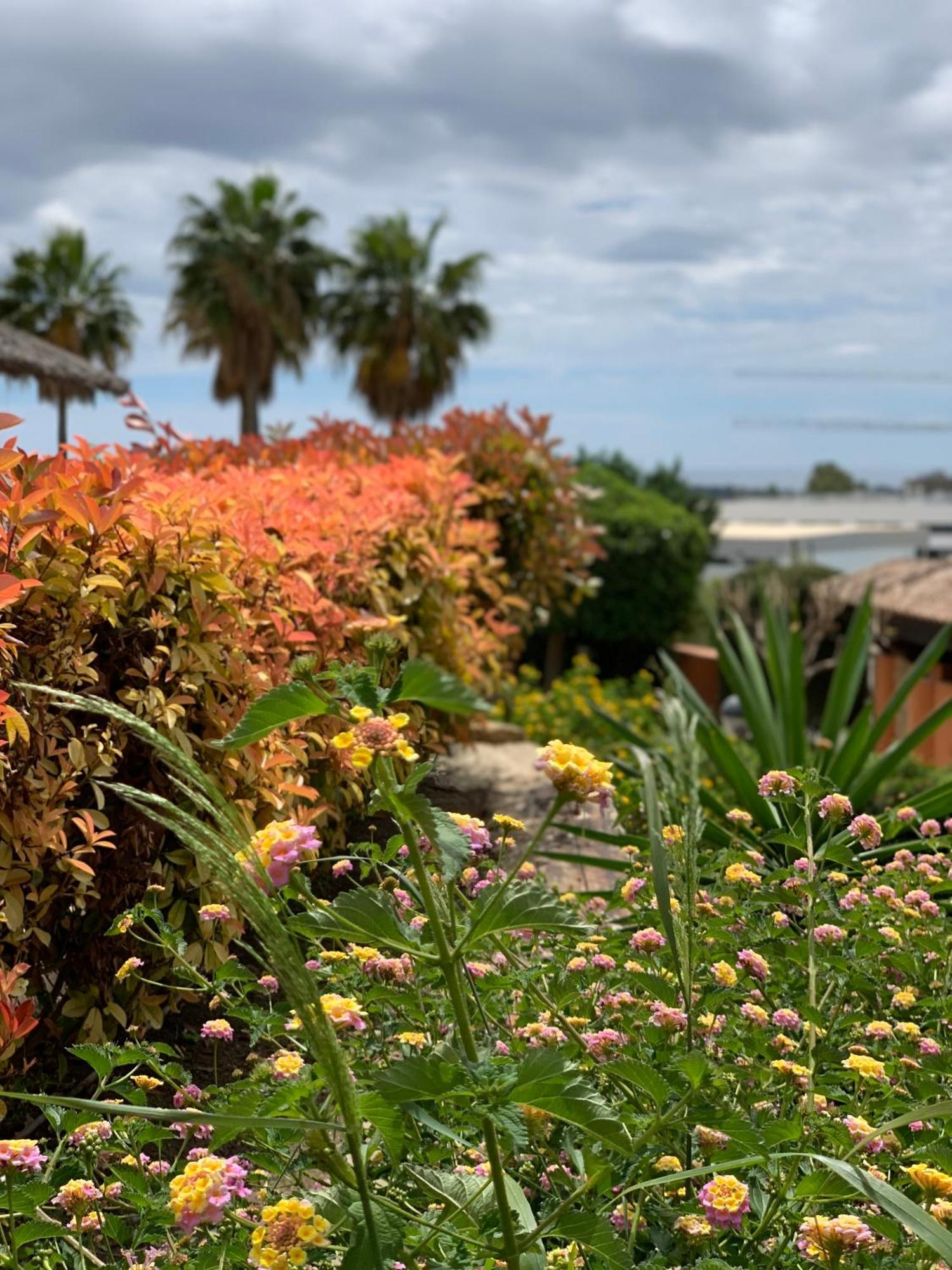 Apartment Your Oasis Of Luxury And Leisure At Gazules Del Sol In Marbella Area - Benahavis *