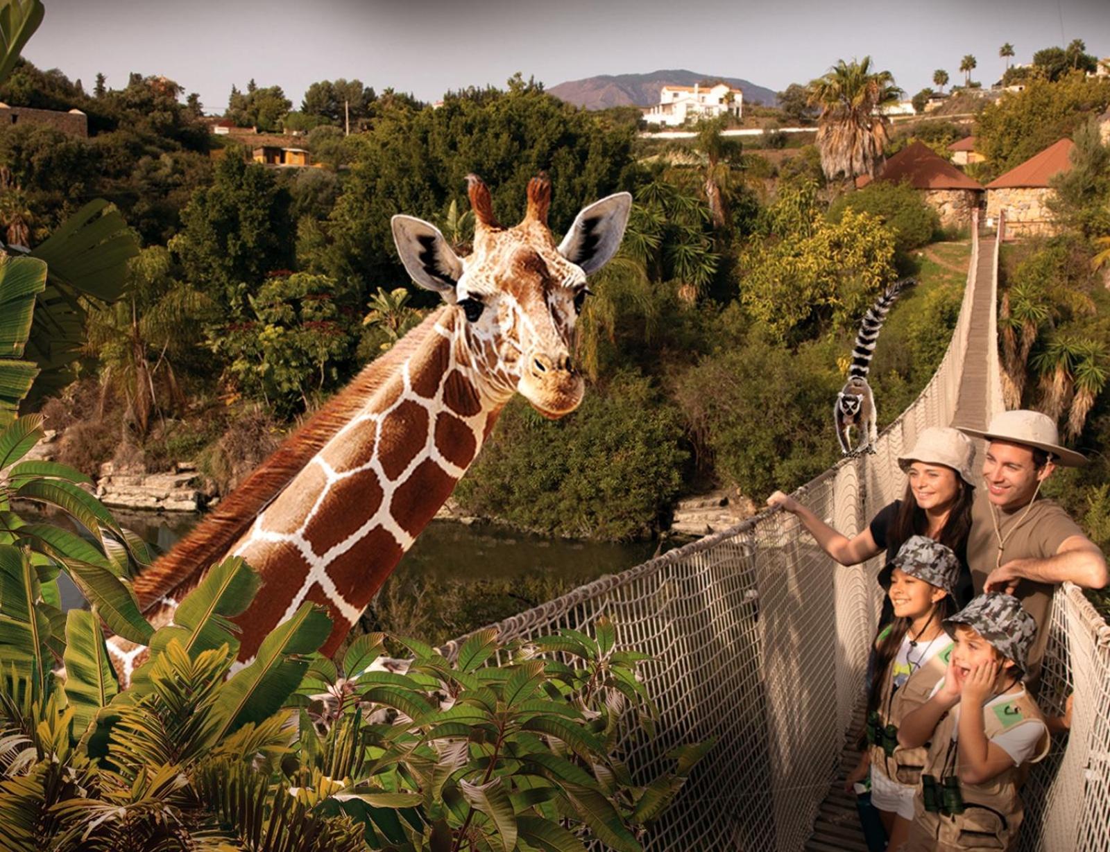 Selwo - Animal Park Tickets Included