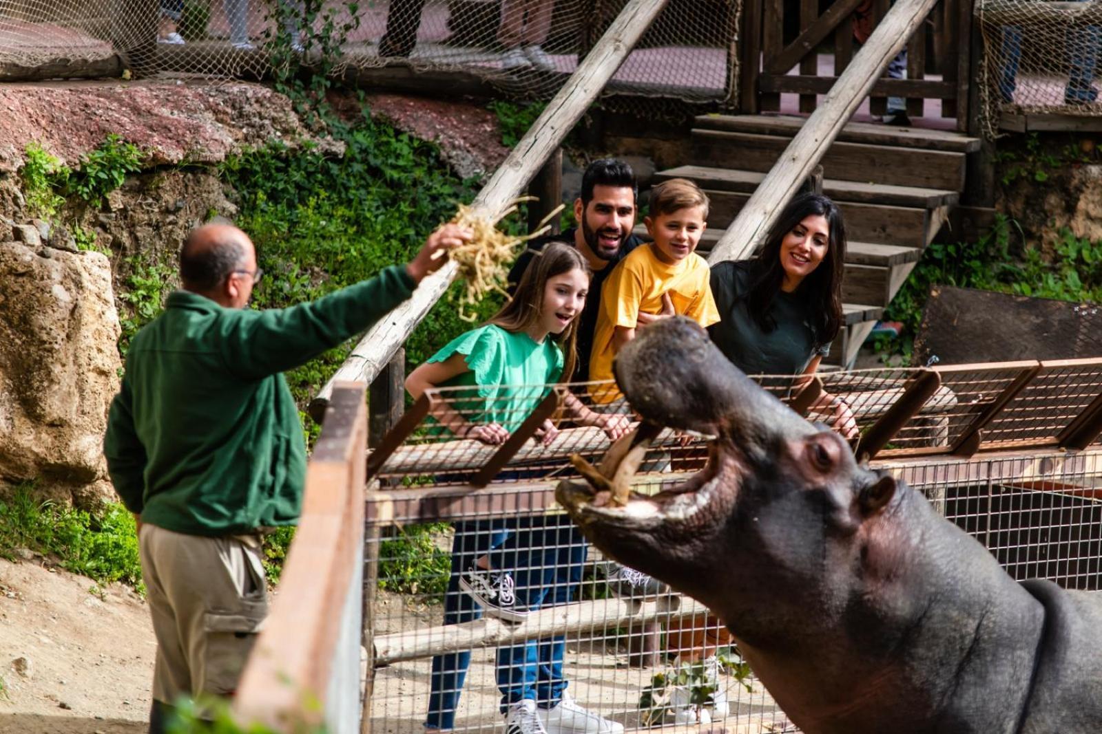 Selwo - Animal Park Tickets Included 3*