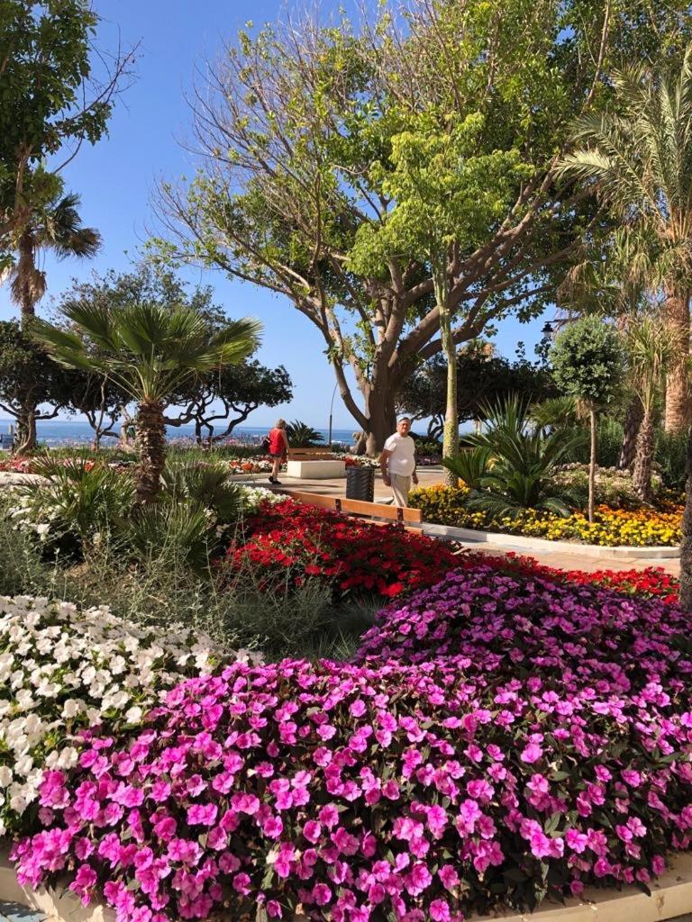 La Rada Centro Estepona