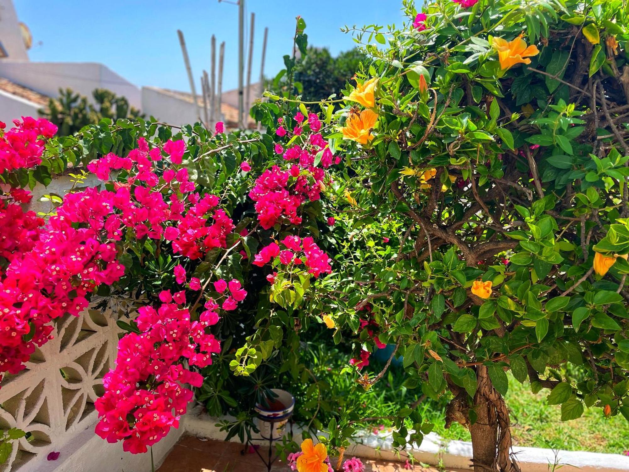 Apartamento Casa Jardin Del Mar *