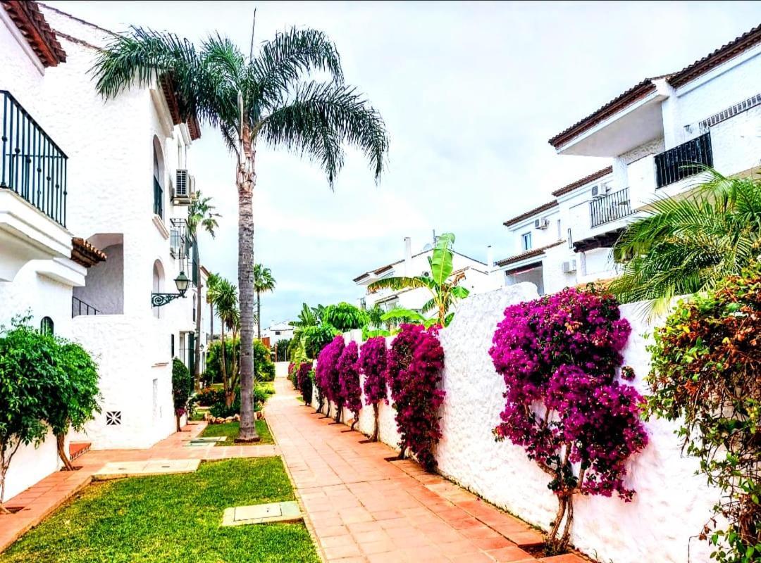 Paraiso Y Mar Appartement