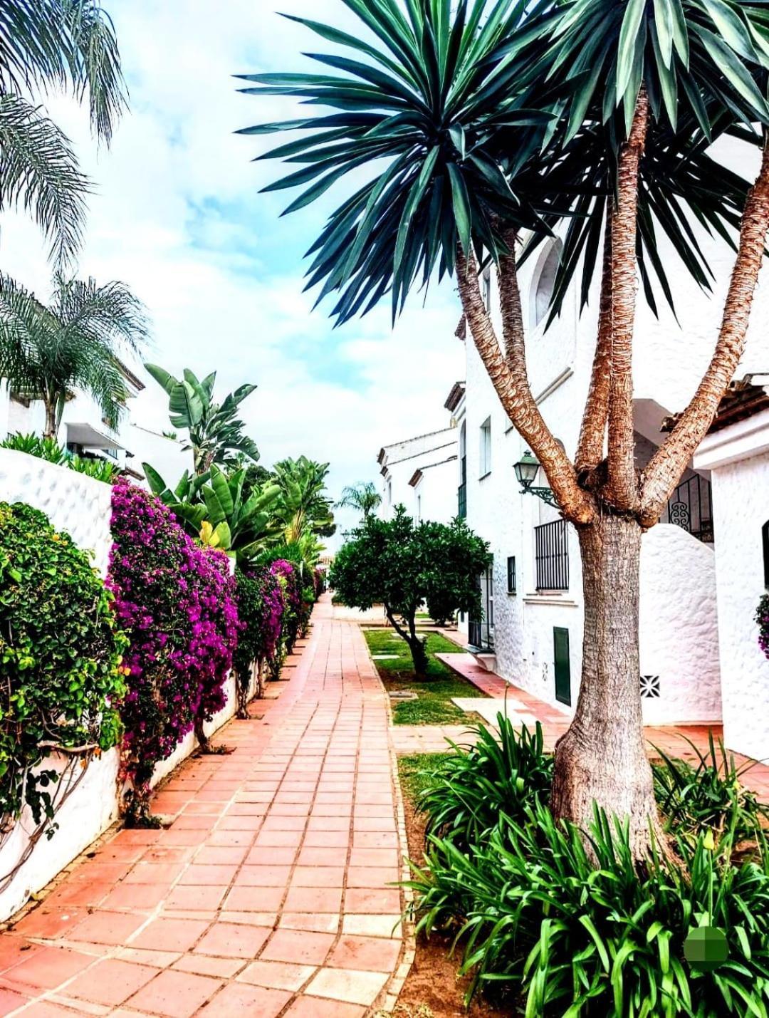 Paraiso Y Mar Appartement Estepona