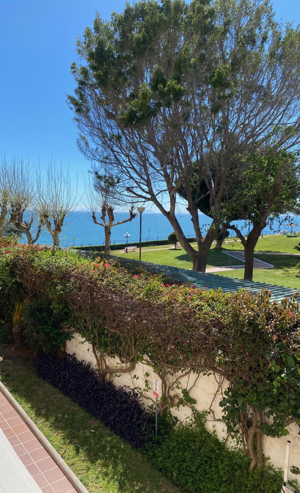Apartment Palm Breeze Beachfront