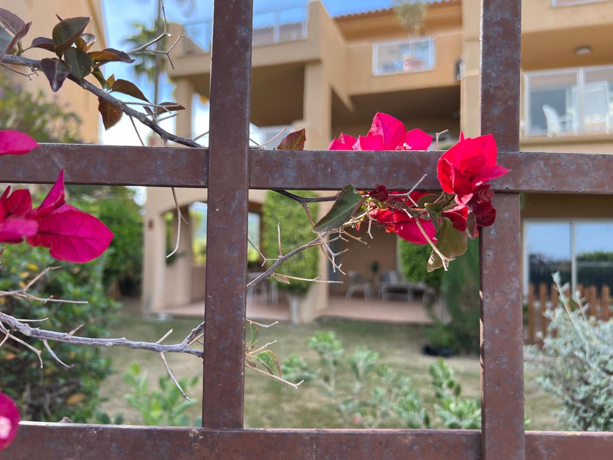 Impresionante De Lujo Con Jardin Estepona