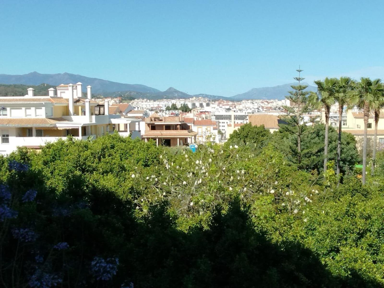 Apartamento Los Corales