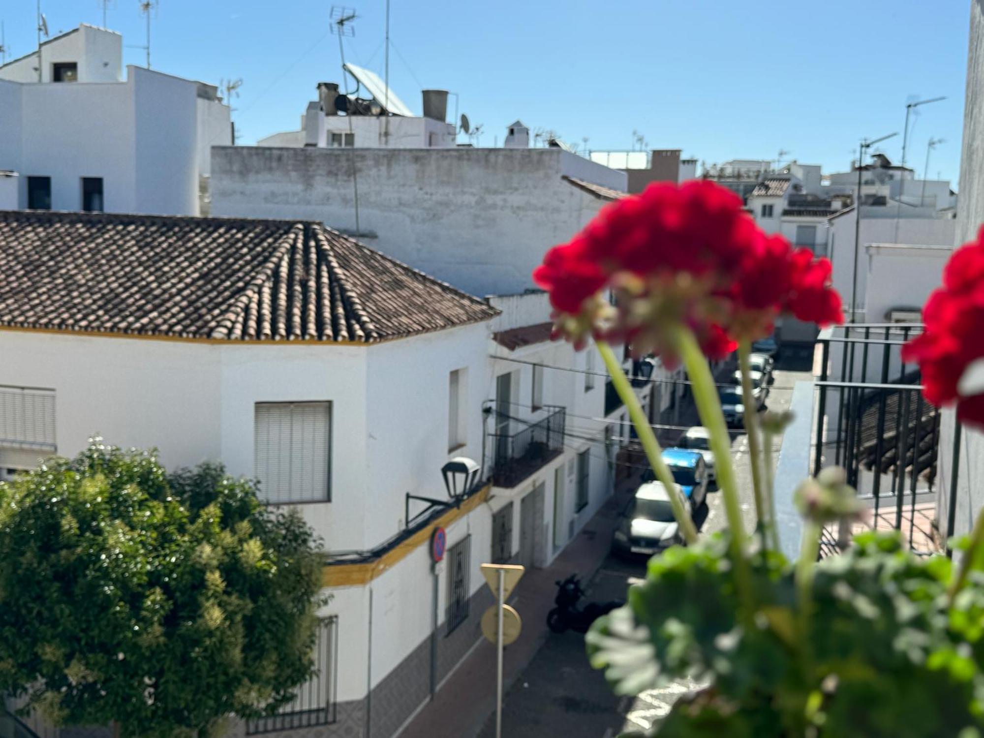 Encantadora Casa En El Corazon De Estepona *
