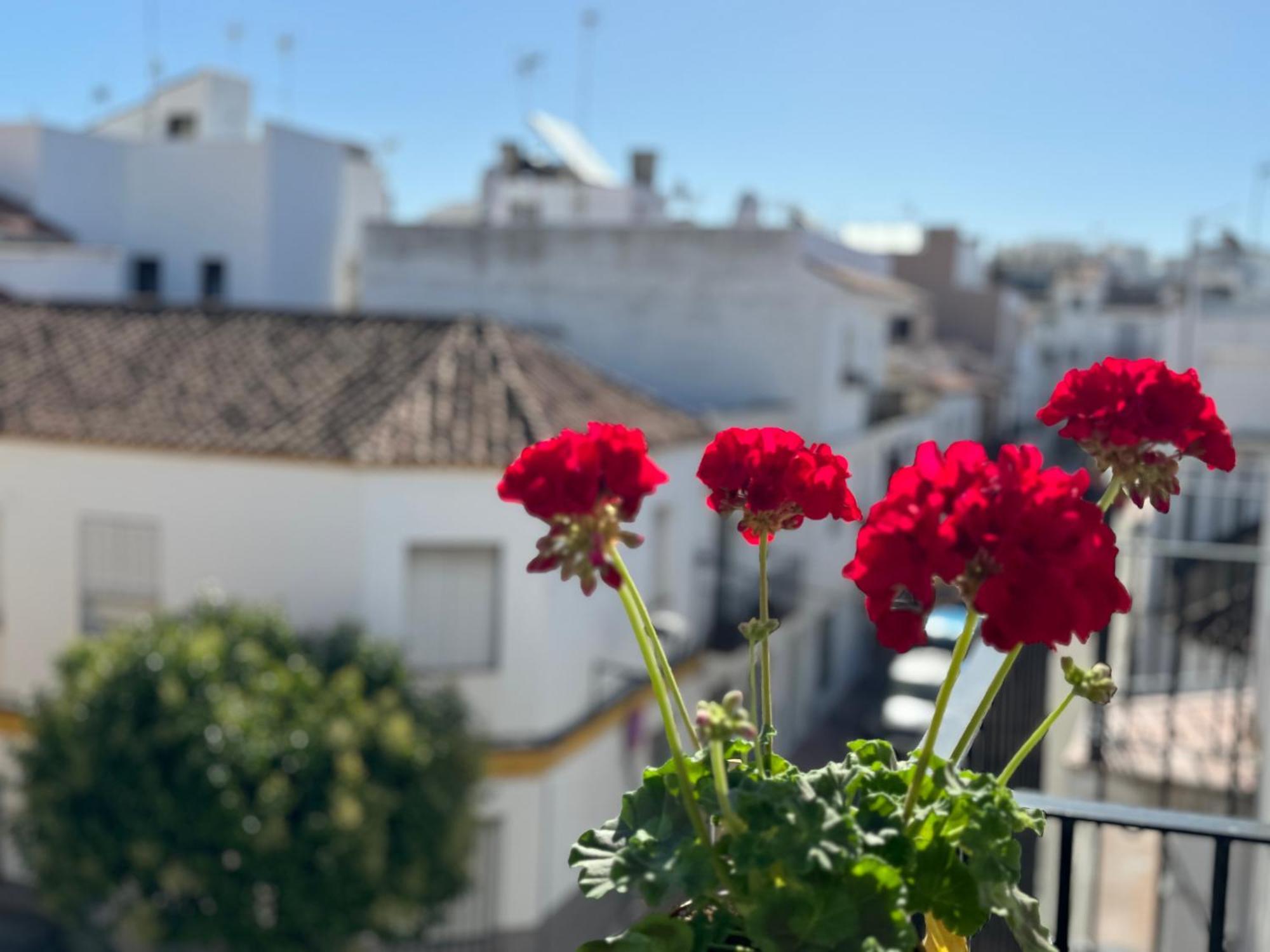 Encantadora Casa En El Corazon De Estepona *