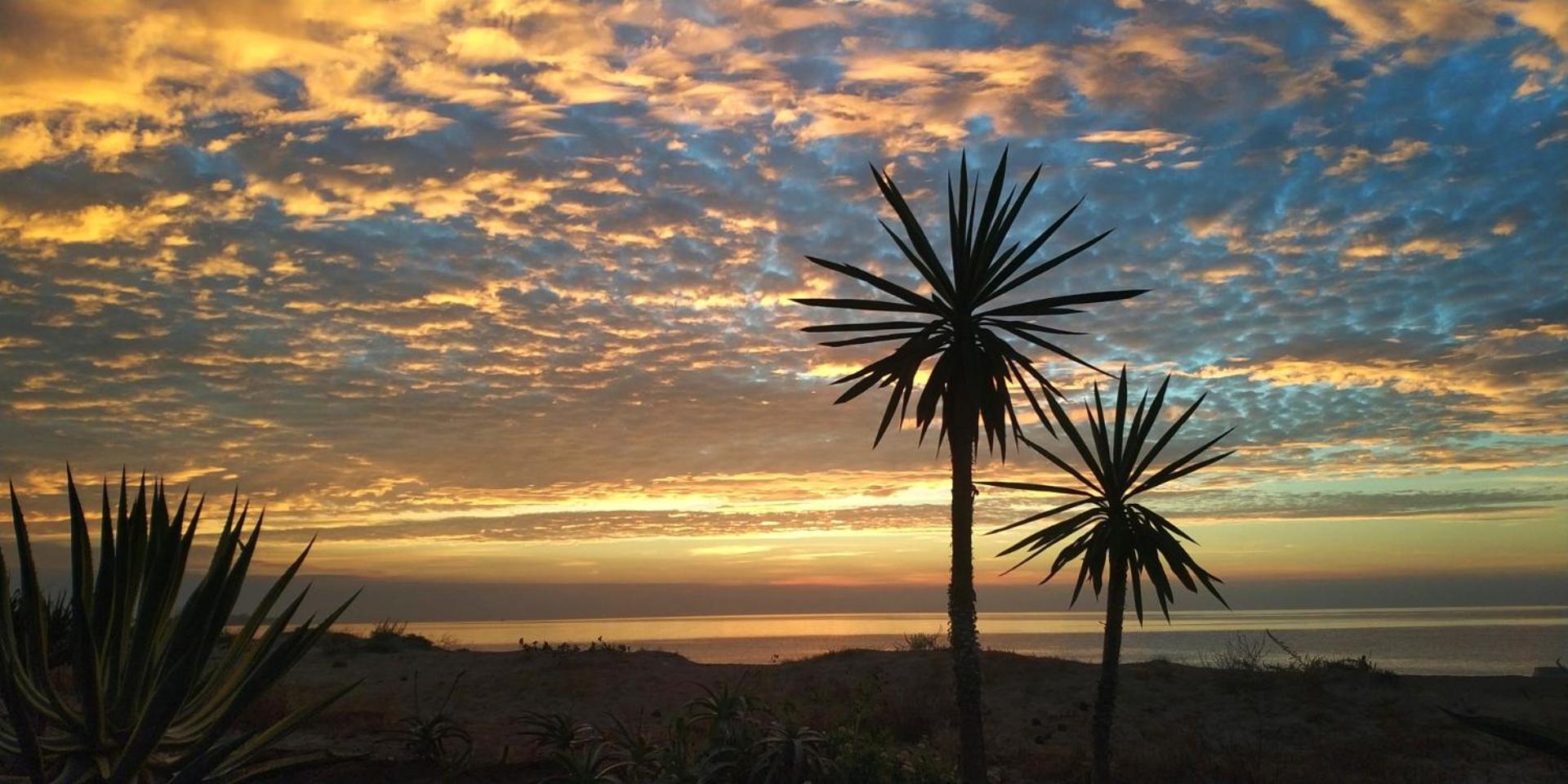 Mar Appartement Estepona