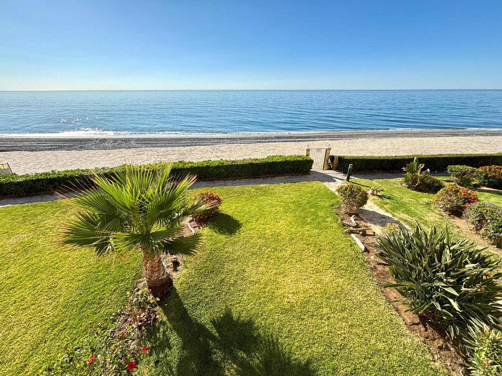 Diletta * Estepona