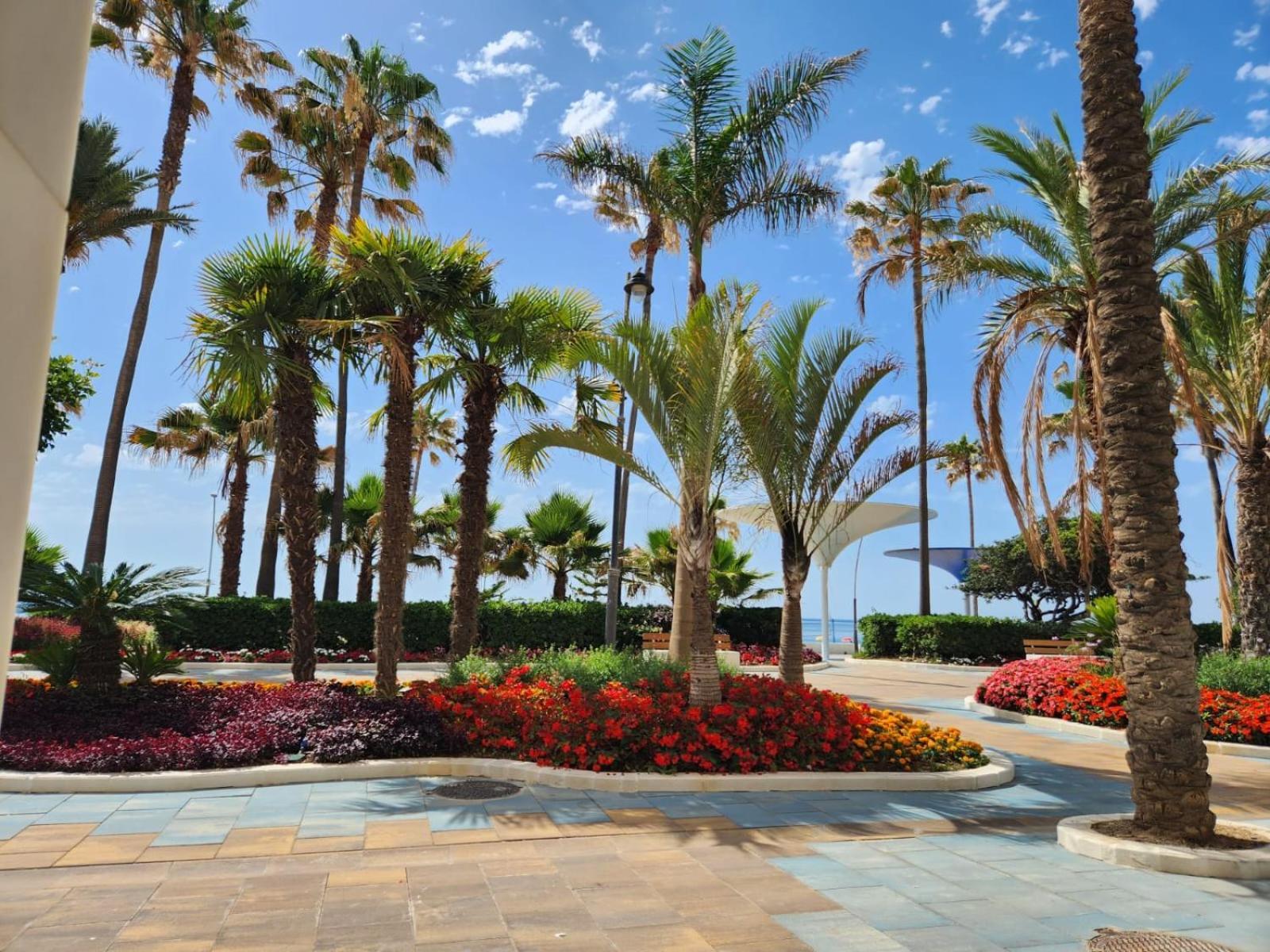 Coastal Chic Centro *