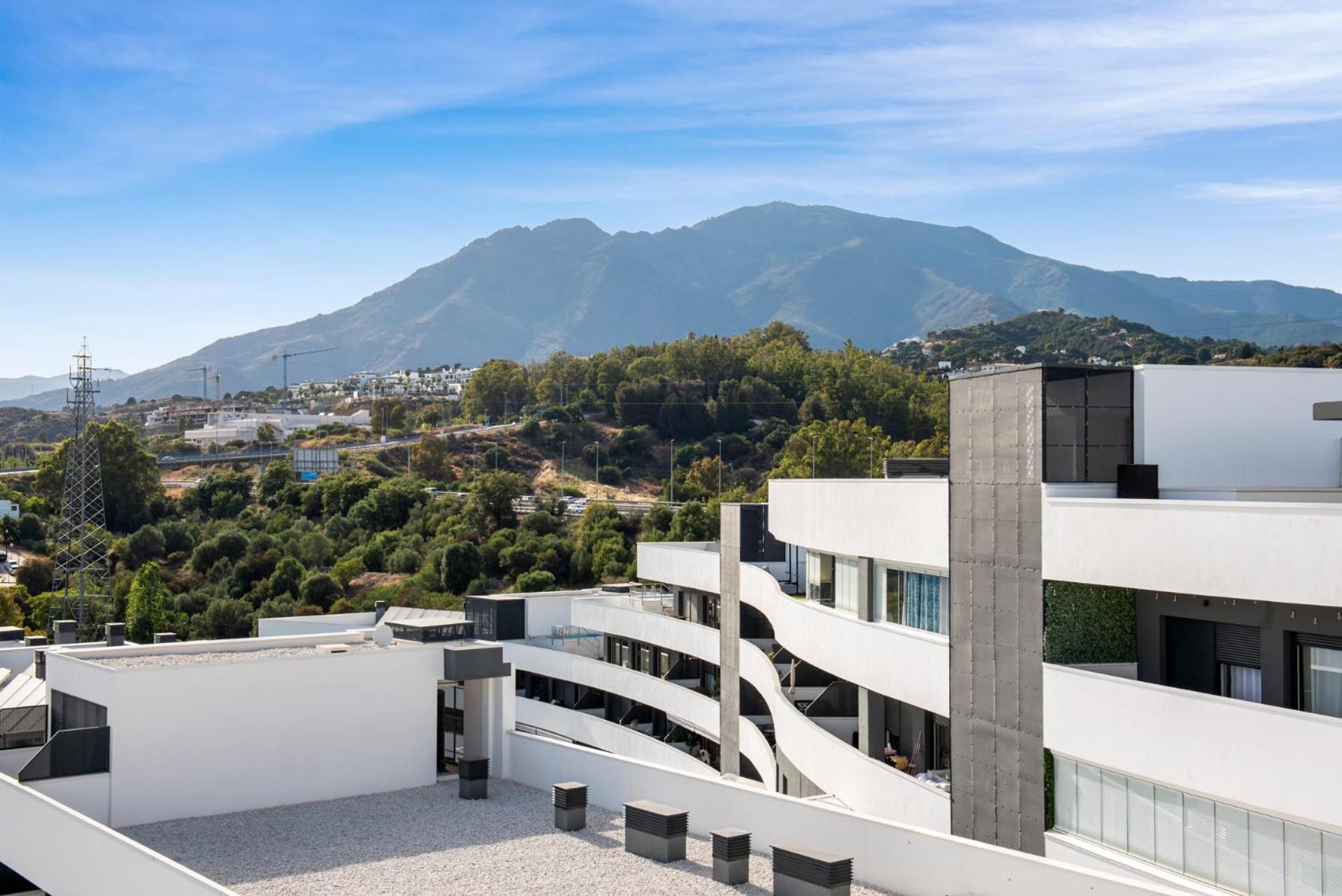 Apartment Skyline Penthouse