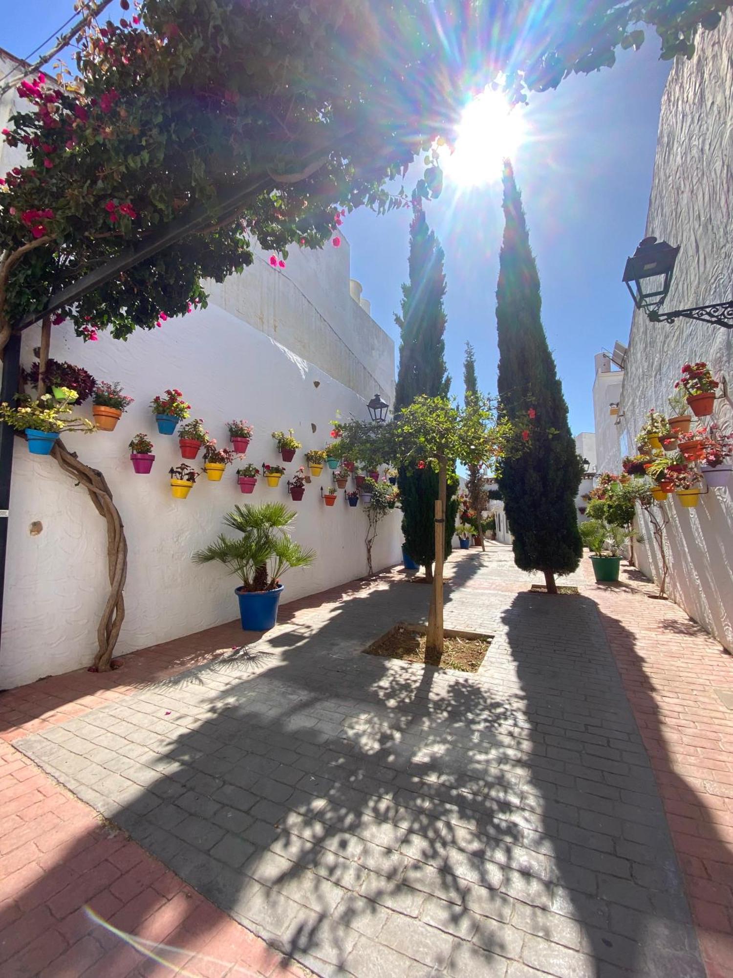 Portada * Estepona