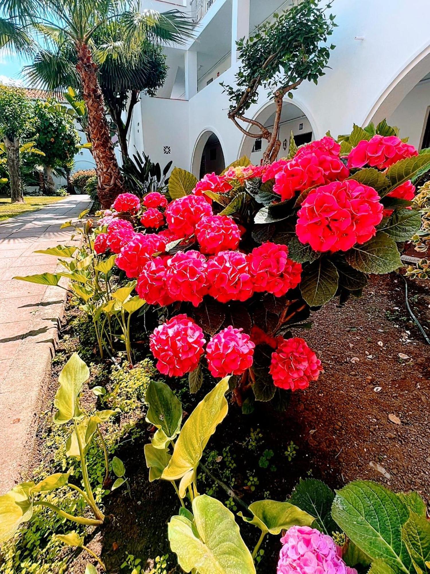 Playa Hacienda Appartement Estepona
