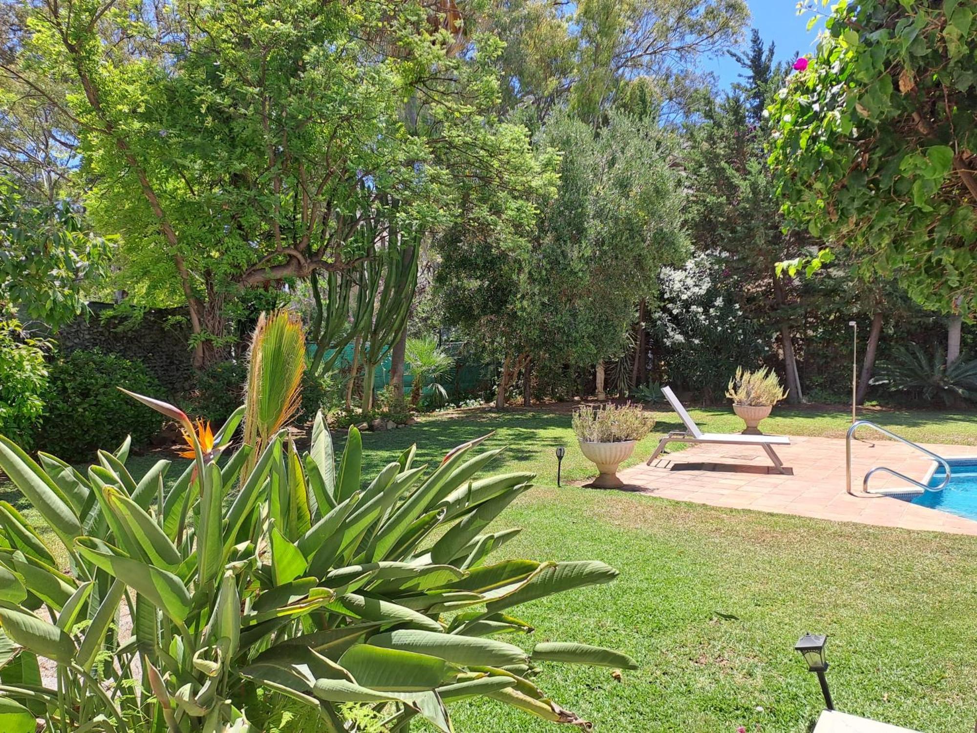 Noctua Pool And 013 Estepona