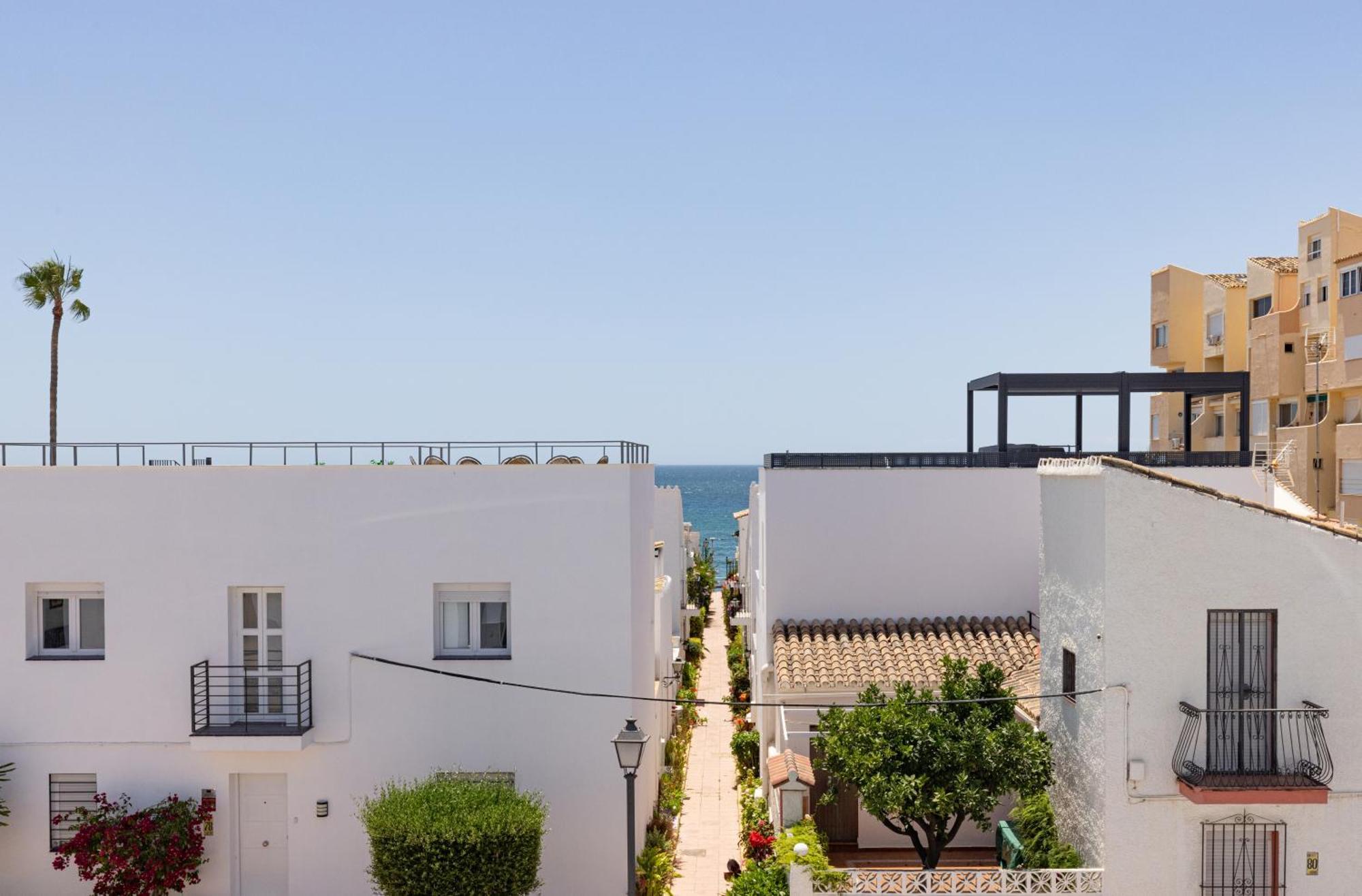 Palm Apartment *