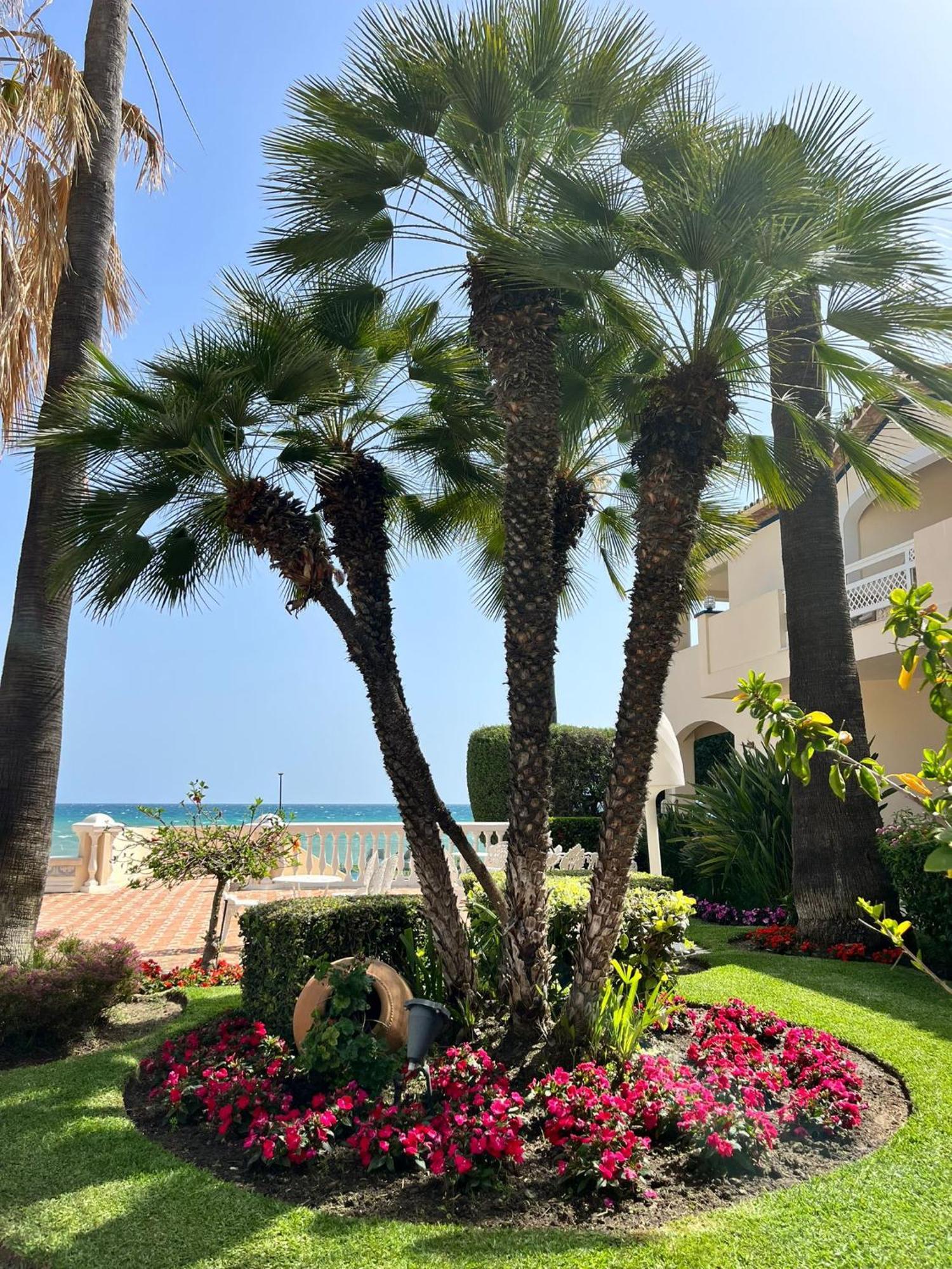 Hotel Dunas Grand Luxury (adults Only)