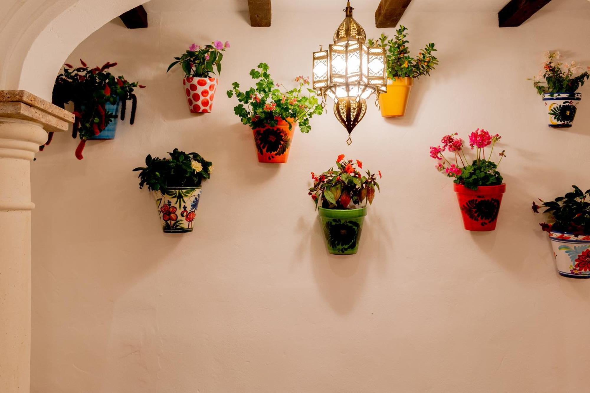 Casa Del Patio - Boutique (adults Only) Apartment