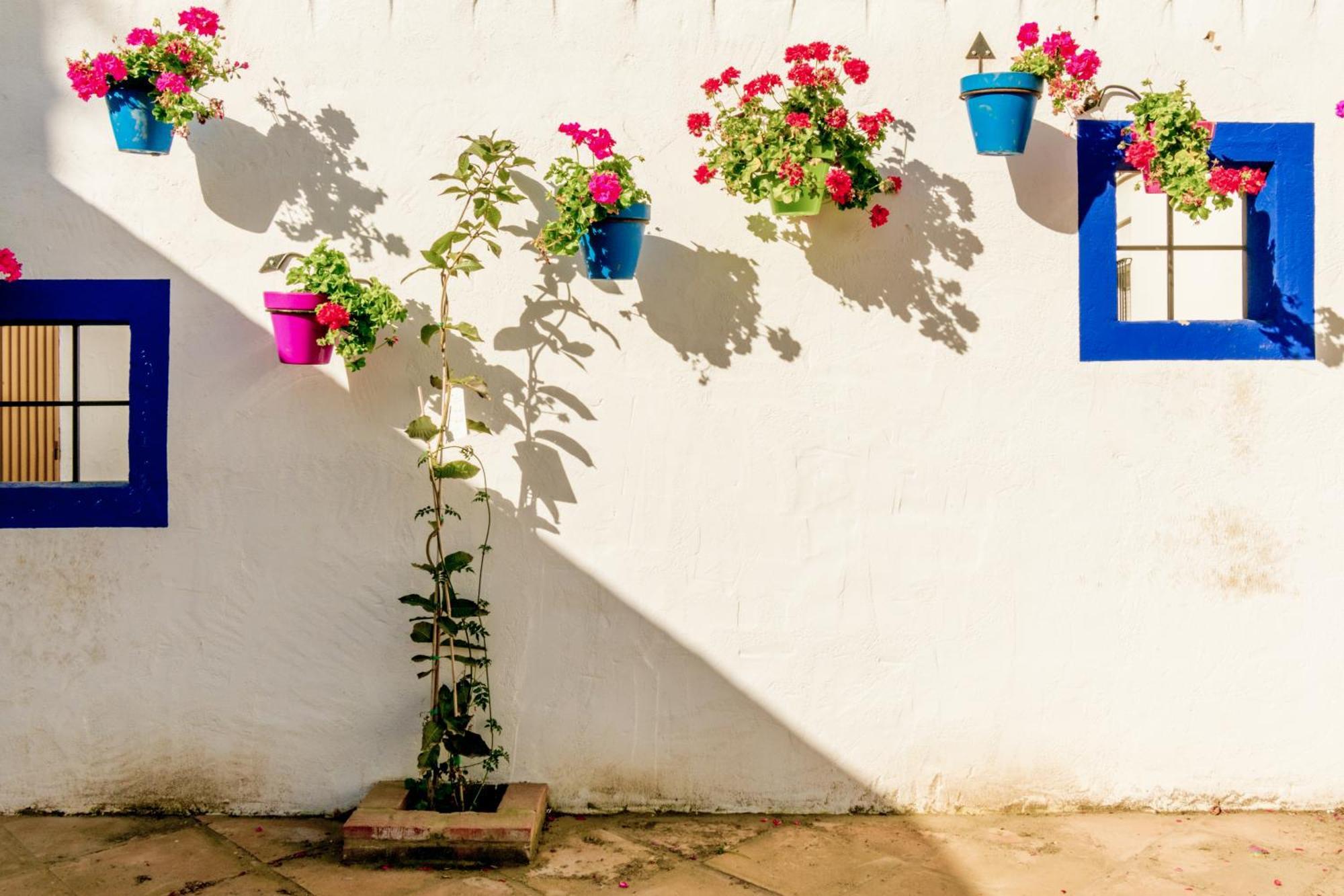 Apartment Casa Del Patio - Boutique (adults Only)