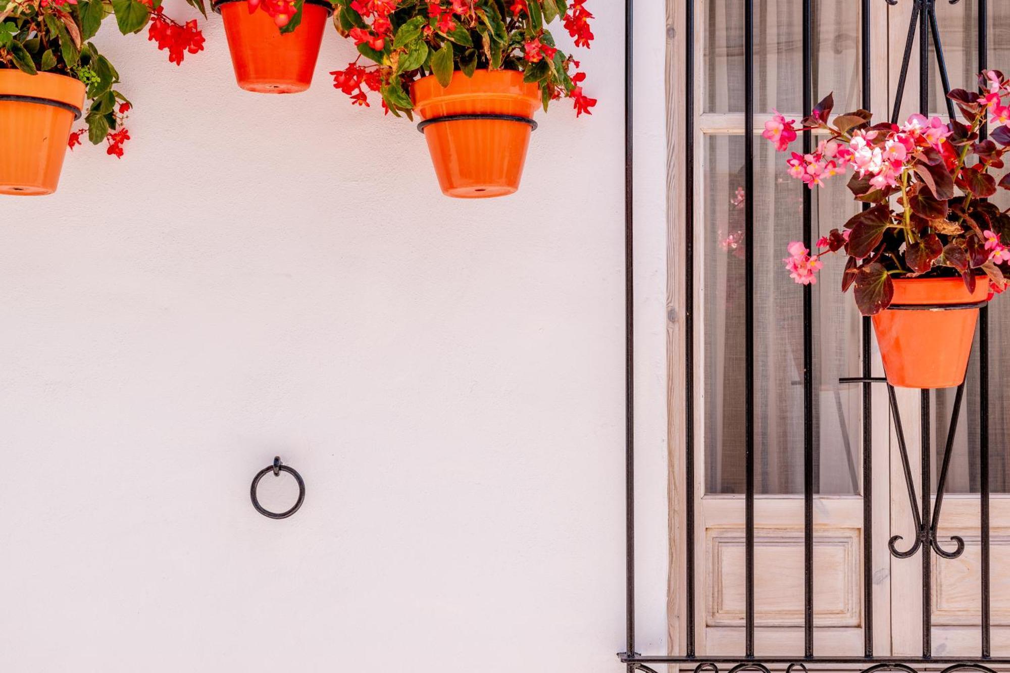 Apartment Casa Del Patio - Boutique (adults Only) Estepona