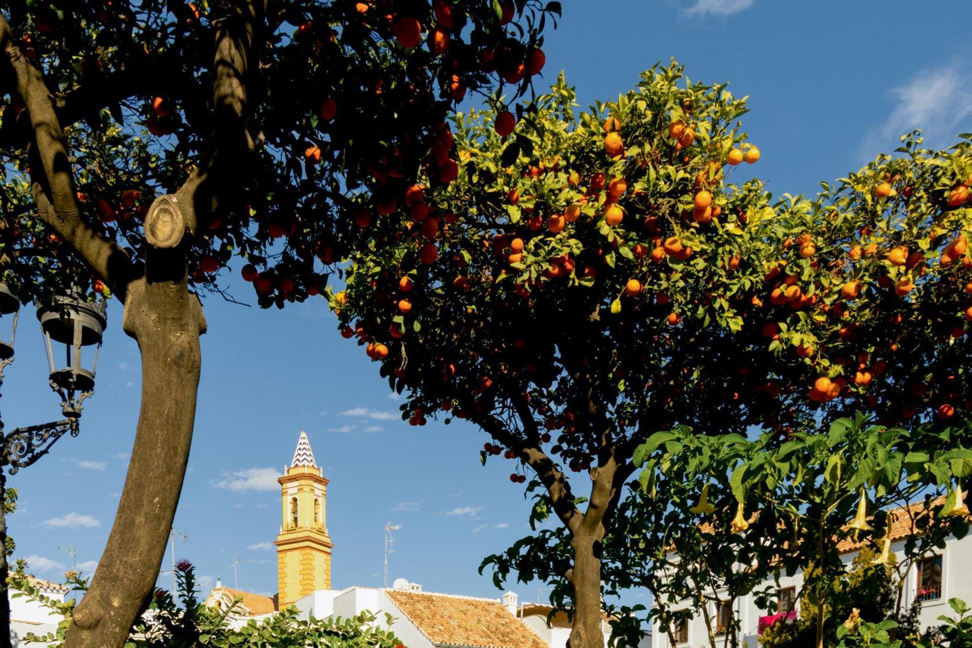 Casa Del Patio - Boutique (adults Only) Apartment