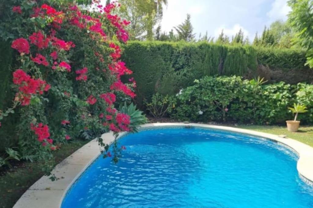 Casa Jaques Estepona