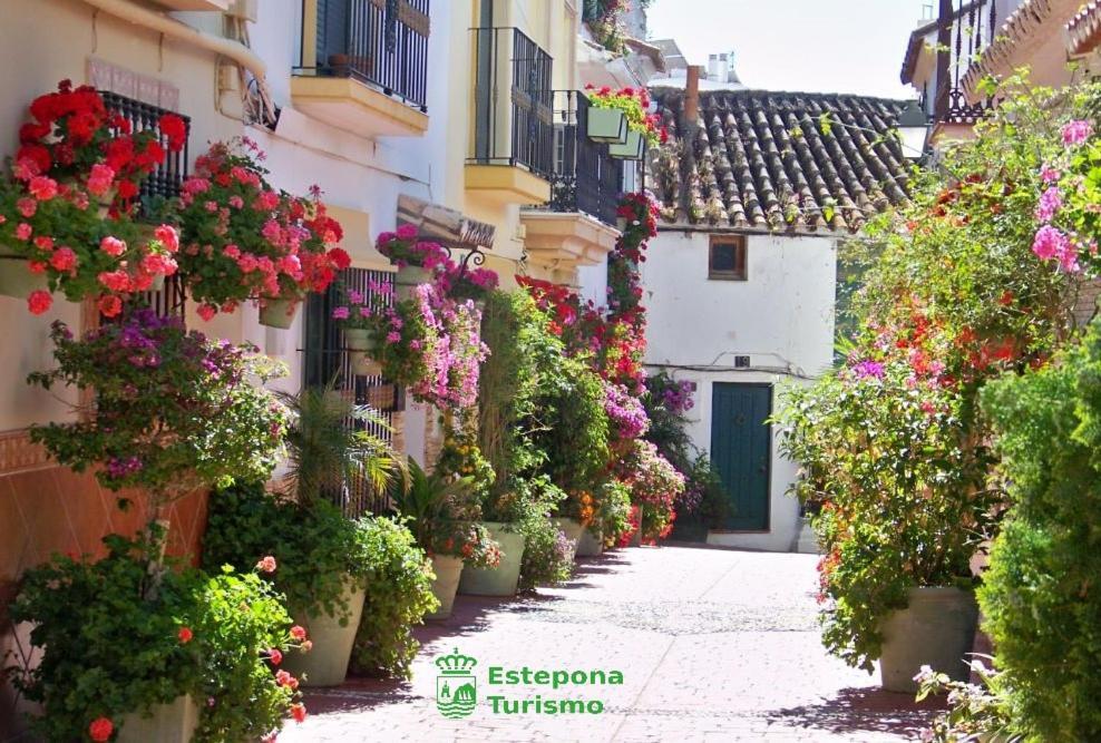 Flores Centro 1 Dormitorio Estepona