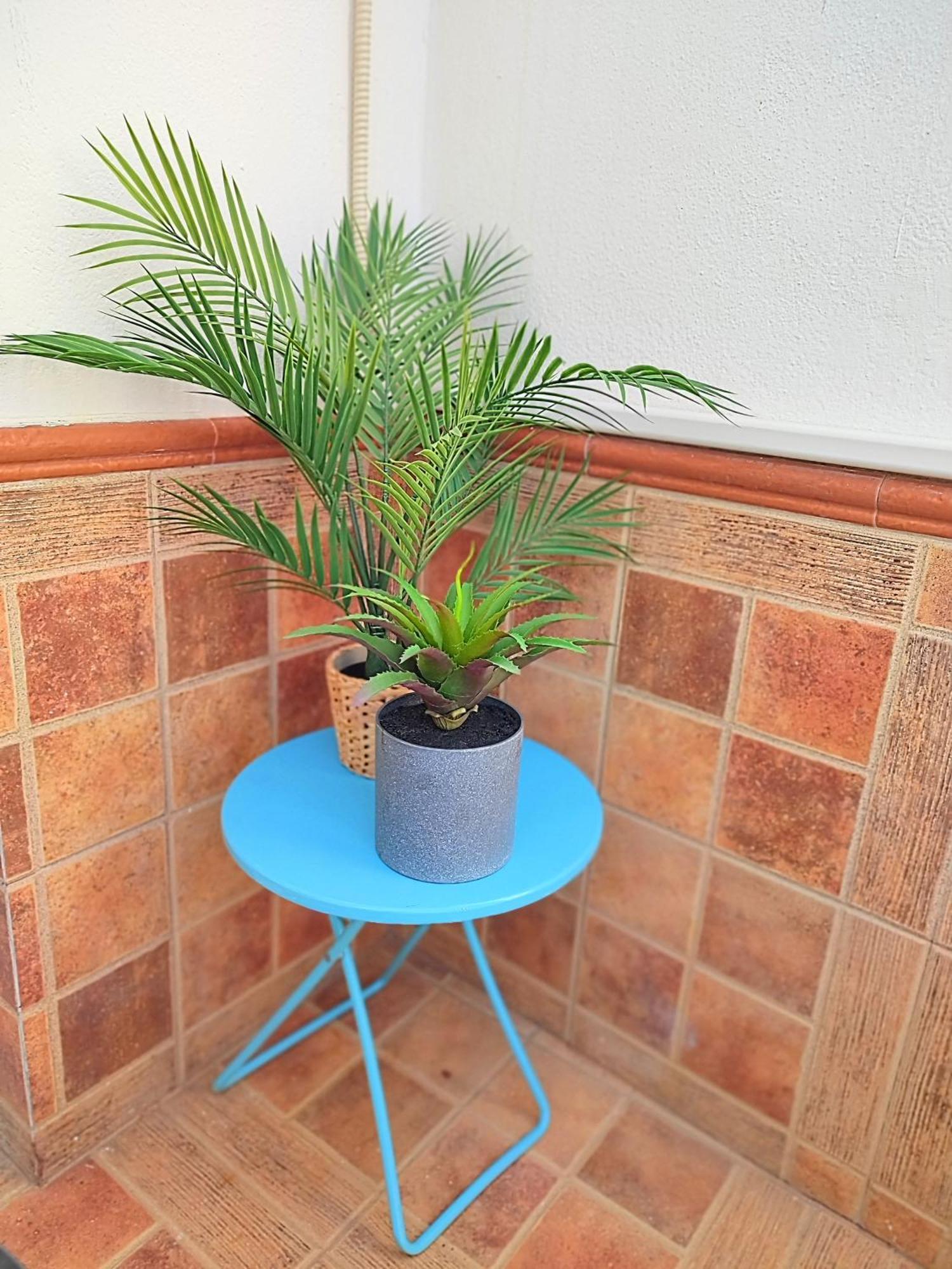 Apartment Palm Tree House