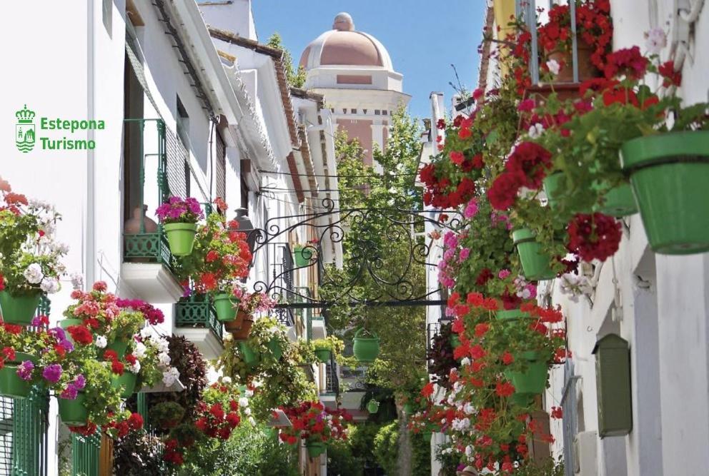 Flores Centro 2 Estepona