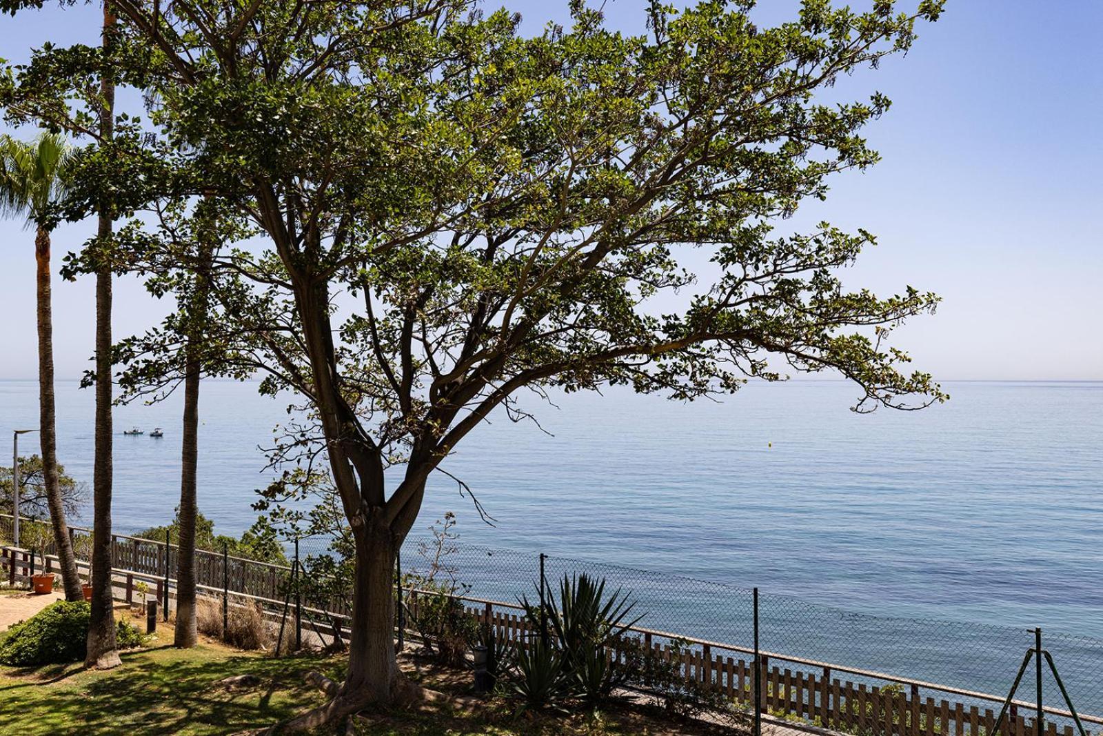 Cadiz - Gerenoveerd Met Groot Balkon & Zeezicht Apartment *