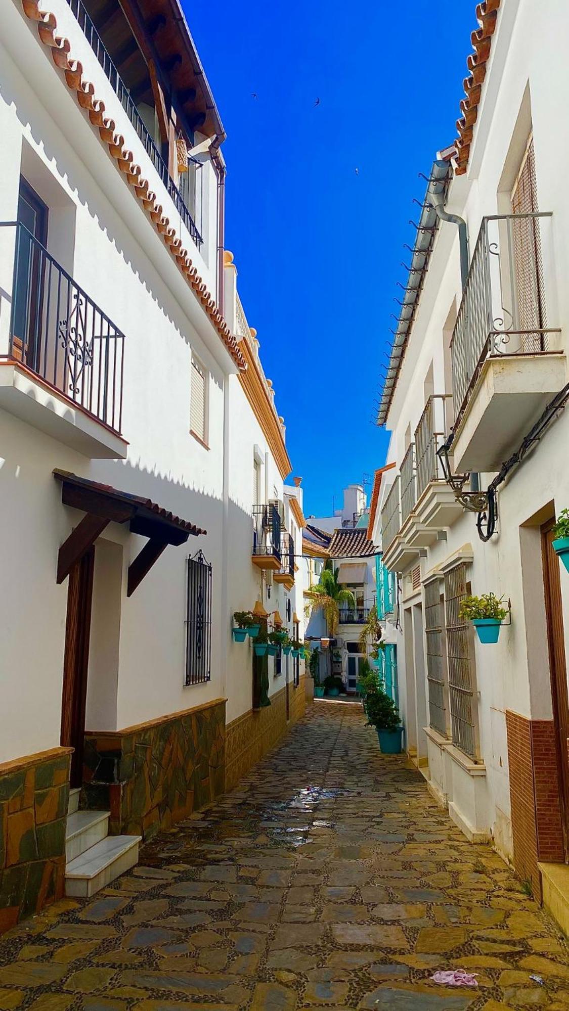 Apartment Loving Mediterranean Estepona